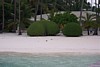 100_0215.JPG