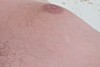 100_0223.JPG