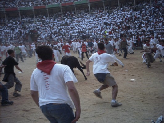 AAAA0077.JPG