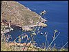 100_0419.jpg