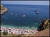 100_0424.jpg