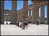 100_0492.jpg