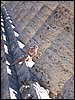100_0493.jpg