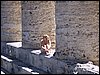 100_0497.jpg