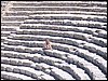 100_0504.jpg