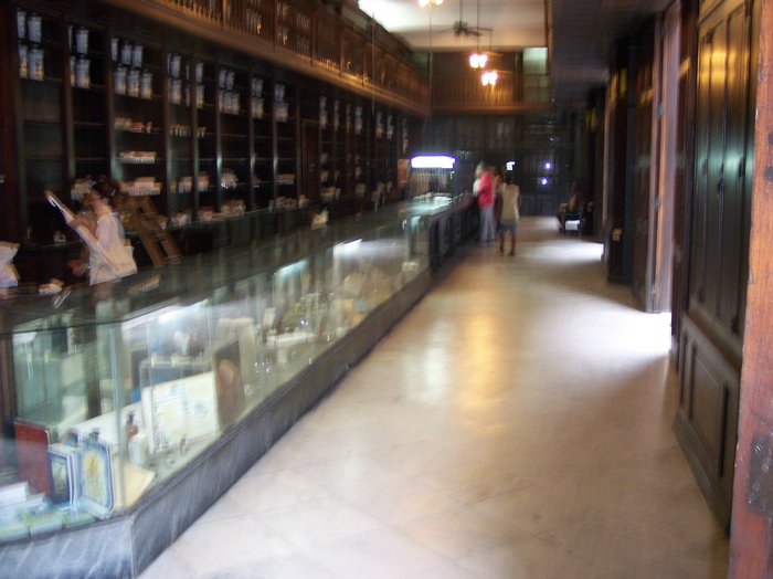 100_1022.JPG