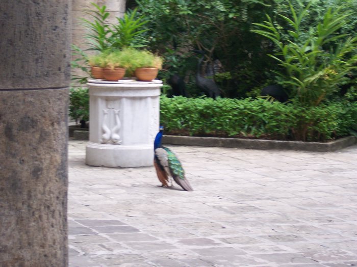 100_1024.JPG