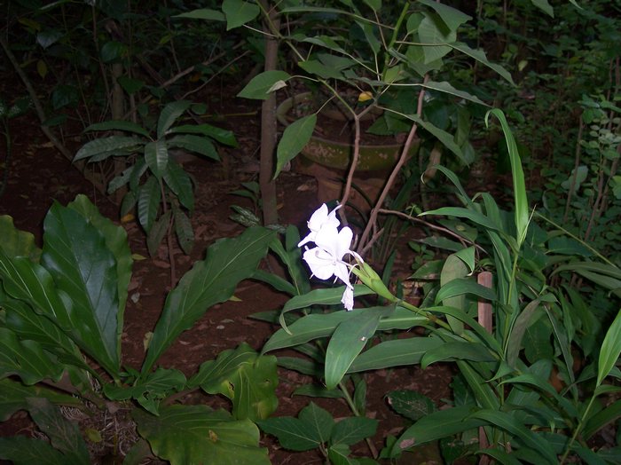 100_1122.JPG