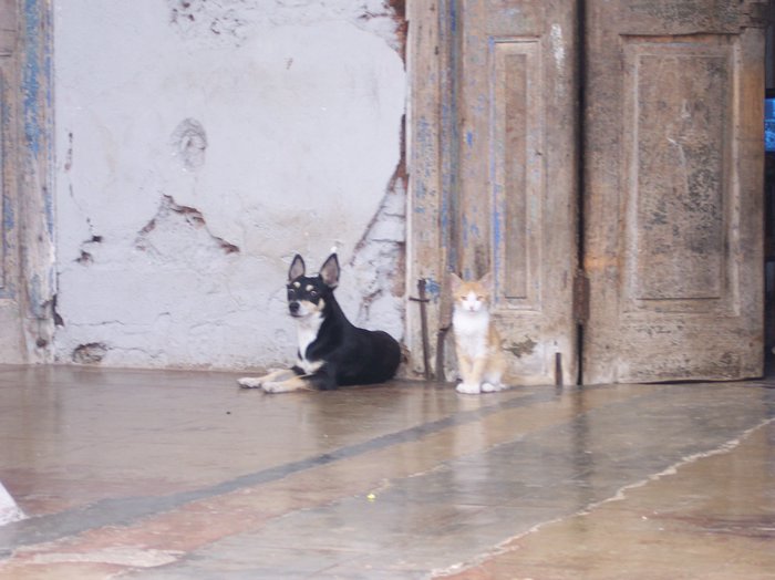 100_1240.JPG