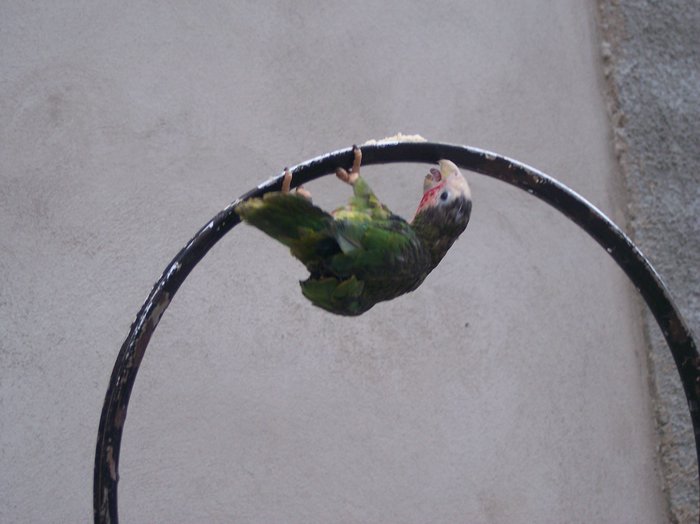100_1256.JPG
