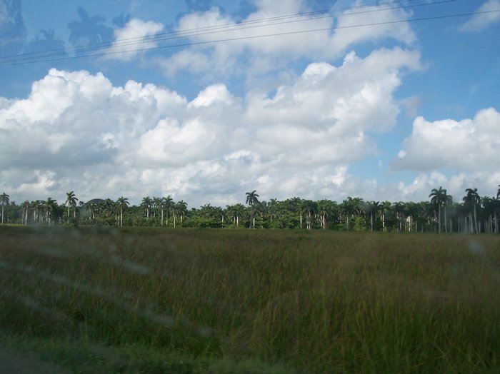 100_1260.JPG