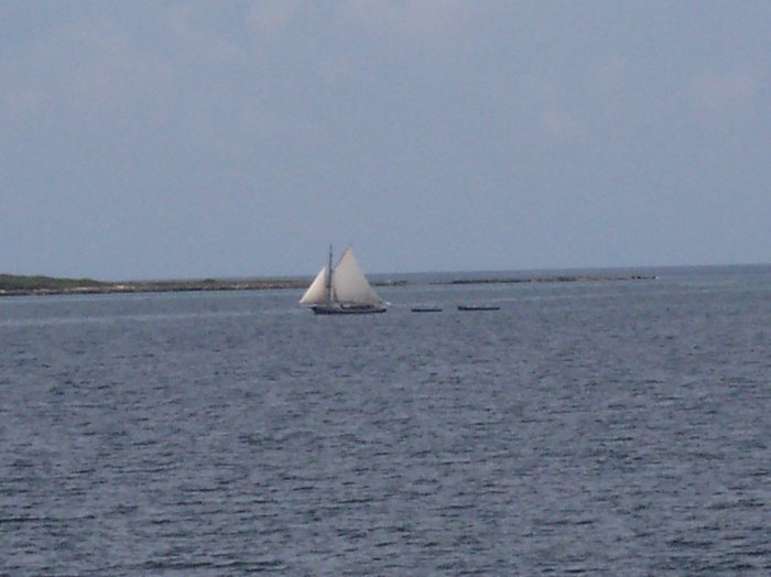 100_1278.JPG
