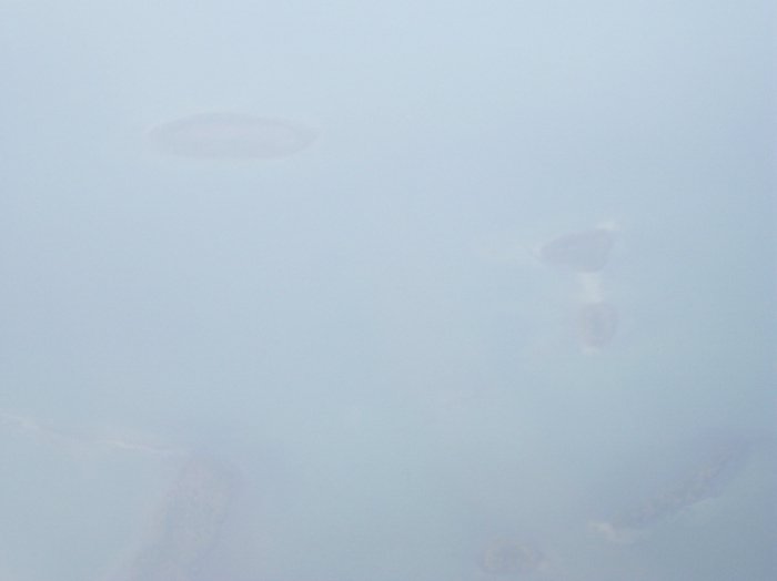 100_1515.JPG