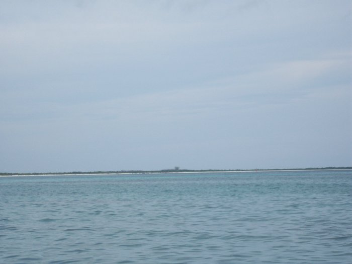 100_1561.JPG