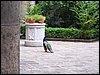 100_1024.JPG