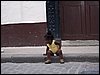 100_1070.JPG