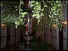 100_1075.JPG
