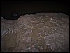 100_1093.JPG