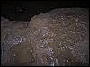 100_1094.JPG