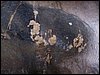 100_1103.JPG