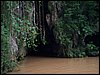 100_1111.JPG