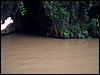 100_1112.JPG