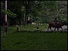100_1114.JPG
