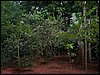 100_1119.JPG