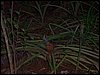 100_1120.JPG