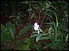 100_1122.JPG