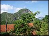 100_1130.JPG