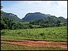 100_1131.JPG