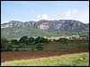 100_1133.JPG