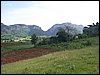 100_1134.JPG