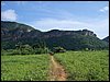 100_1135.JPG