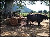 100_1141.JPG