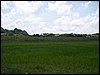 100_1145.JPG