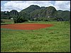 100_1148.JPG