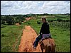 100_1151.JPG