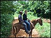 100_1155.JPG