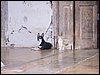100_1240.JPG