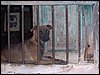 100_1251.JPG