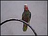 100_1252.JPG