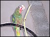 100_1253.JPG