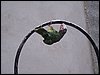 100_1256.JPG