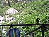 100_1275.JPG