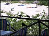 100_1277.JPG