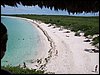 100_1281.JPG