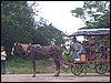 100_1312.JPG