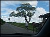 100_1324.JPG